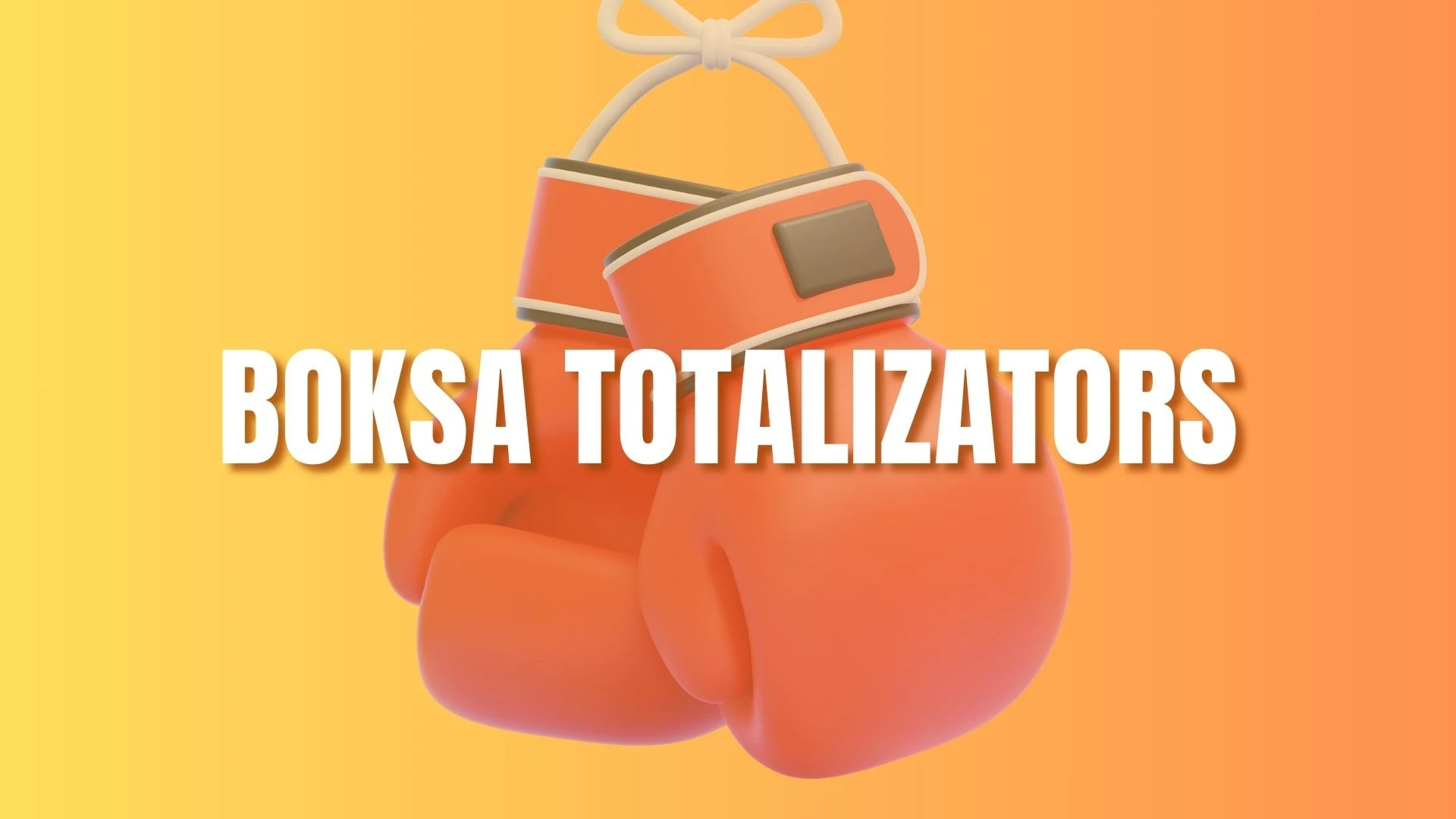 Boksa totalizators